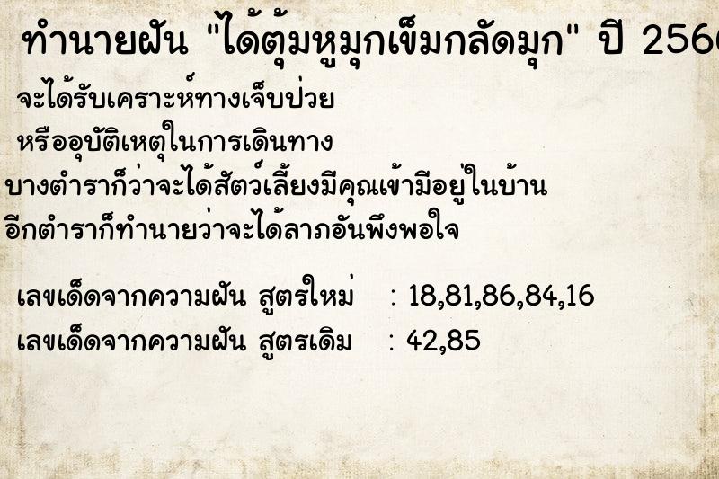 ทำนายฝันทำนายฝันได้ตุ้มหูมุกเข็มกลัดมุก