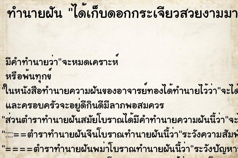 ทำนายฝันทำนายฝันได้เก็บดอกกระเจียวสวยงามมาก