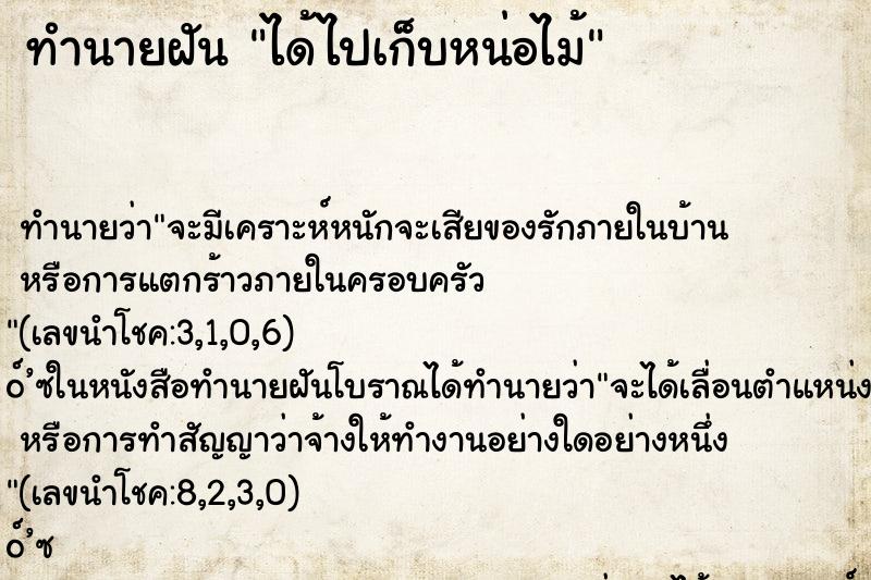 ทำนายฝัน ได้ไปเก็บหน่อไม้ ทำนายฝัน ได้ไปเก็บหน่อไม้