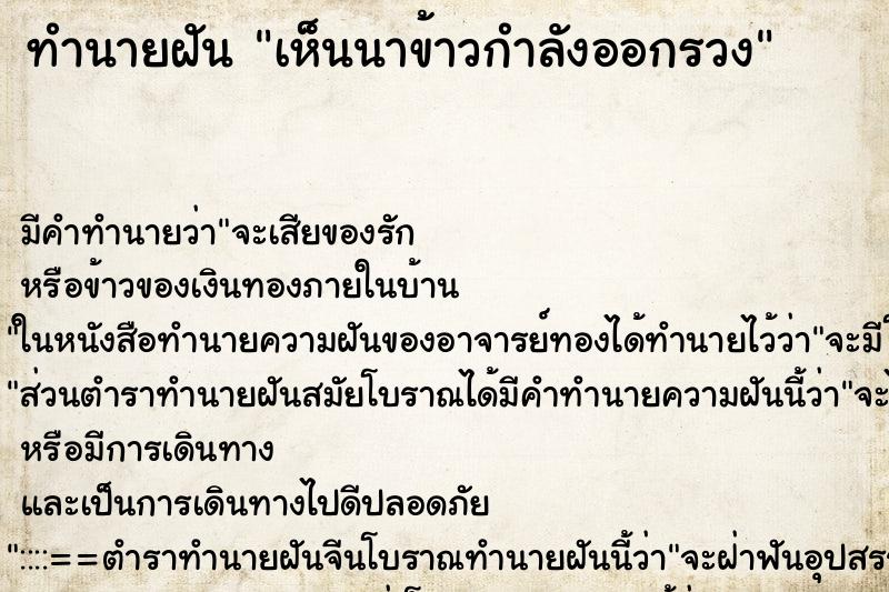 ทำนายฝัน เห็นนาข้าวกำลังออกรวง ตำราโบราณ แม่นที่สุดในโลก