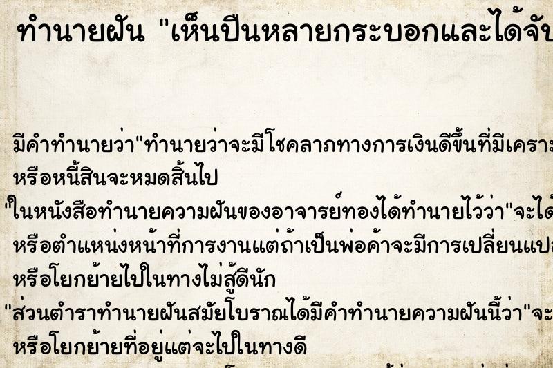 ทำนายฝัน เห็นปืนหลายกระบอกและได้จับปืน ทำนายฝัน เห็นปืนหลายกระบอกและได้จับปืน