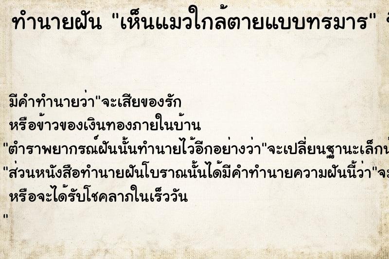ทำนายฝัน เห็นแมวใกล้ตายแบบทรมาร ทำนายฝัน เห็นแมวใกล้ตายแบบทรมาร