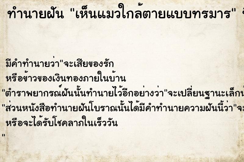 ทำนายฝัน เห็นแมวใกล้ตายแบบทรมาร ตำราโบราณ แม่นที่สุดในโลก