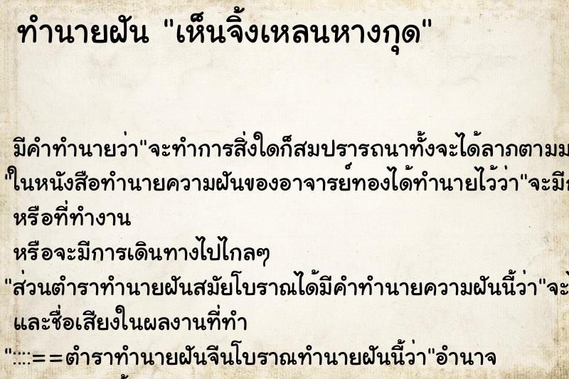 ทำนายฝันเห็นจิ้งเหลนหางกุด ทำนายฝันทำนายฝันเห็นจิ้งเหลนหางกุด