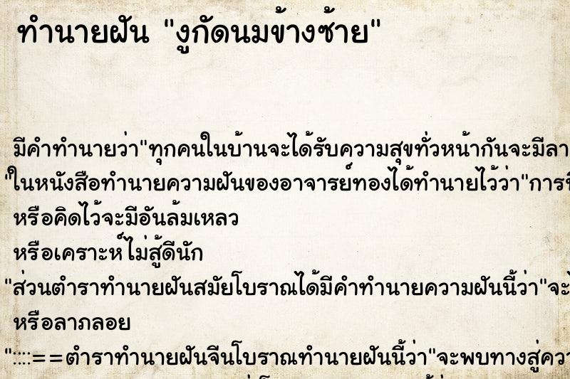 ทำนายฝัน งูกัดนมข้างซ้าย ทำนายฝัน งูกัดนมข้างซ้าย