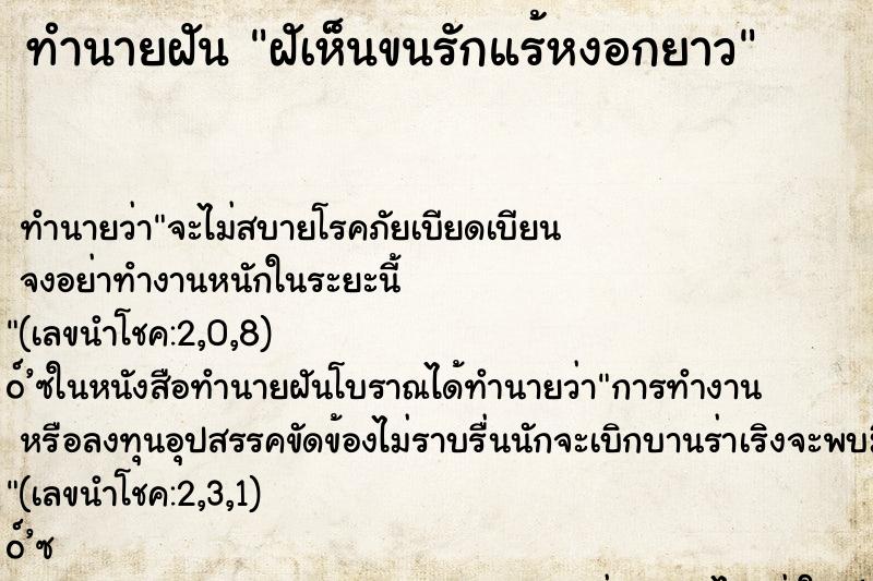 ทำนายฝัน ฝัเห็นขนรักแร้หงอกยาว ทำนายฝัน ฝัเห็นขนรักแร้หงอกยาว