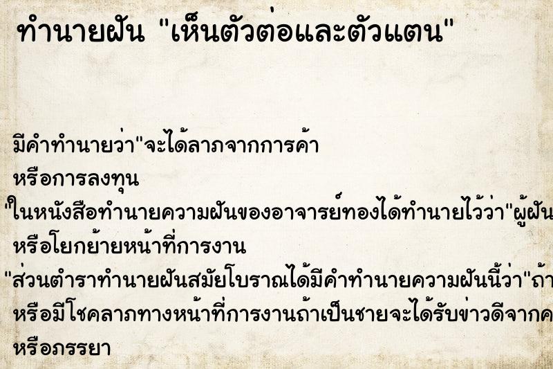 ทำนายฝัน เห็นตัวต่อและตัวแตน ทำนายฝัน เห็นตัวต่อและตัวแตน