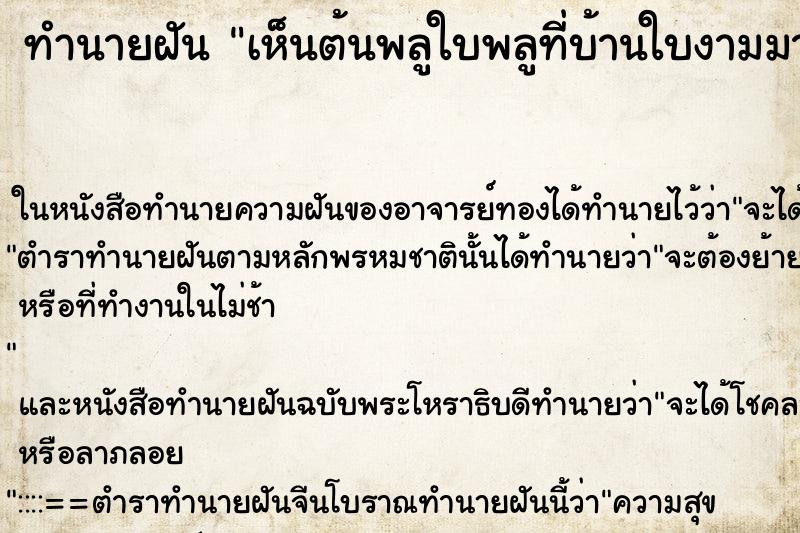 ทำนายฝันทำนายฝันเห็นต้นพลูใบพลูที่บ้านใบงามมาก