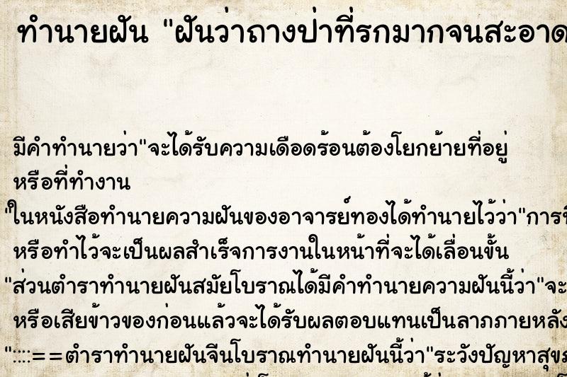 ทำนายฝัน ฝันว่าถางป่าที่รกมากจนสะอาด ตำราโบราณ แม่นที่สุดในโลก