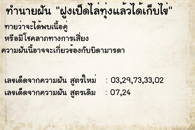 ทำนายฝัน ฝูงเป็ดไล่ทุ่งแล้วได้เก็บไข่ ทำนายฝัน ฝูงเป็ดไล่ทุ่งแล้วได้เก็บไข่