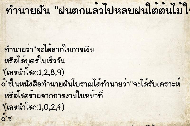 ทำนายฝัน ฝนตกแล้วไปหลบฝนใต้ต้นไม้ใหญ่ ทำนายฝัน ฝนตกแล้วไปหลบฝนใต้ต้นไม้ใหญ่