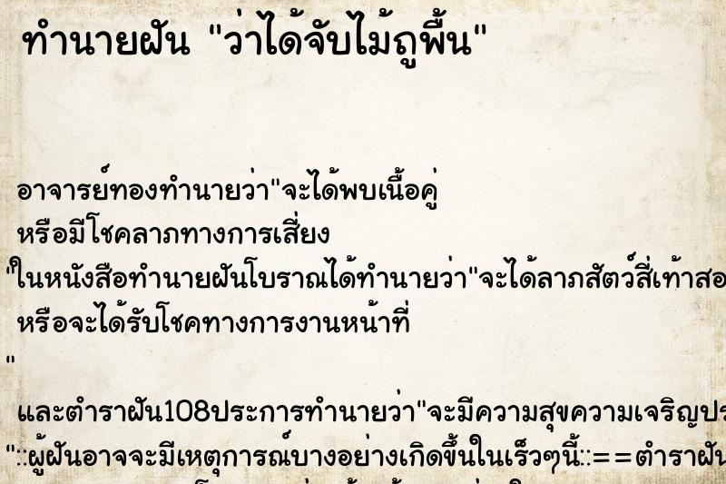 ทำนายฝันทำนายฝันว่าได้จับไม้ถูพื้น