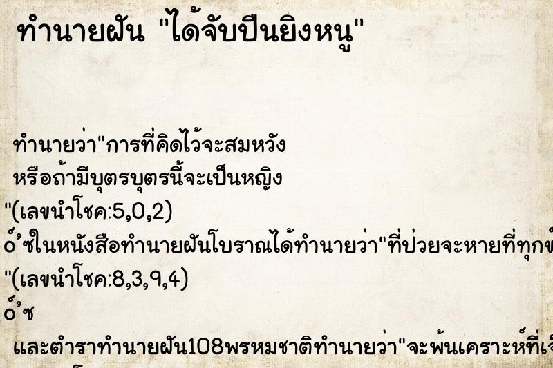 ทำนายฝัน ได้จับปืนยิงหนู ทำนายฝัน ได้จับปืนยิงหนู