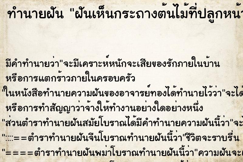 ทำนายฝัน ฝันเห็นกระถางต้นไม้ที่ปลูกหน้าบ้านหาย ทำนายฝัน ฝันเห็นกระถางต้นไม้ที่ปลูกหน้าบ้านหาย