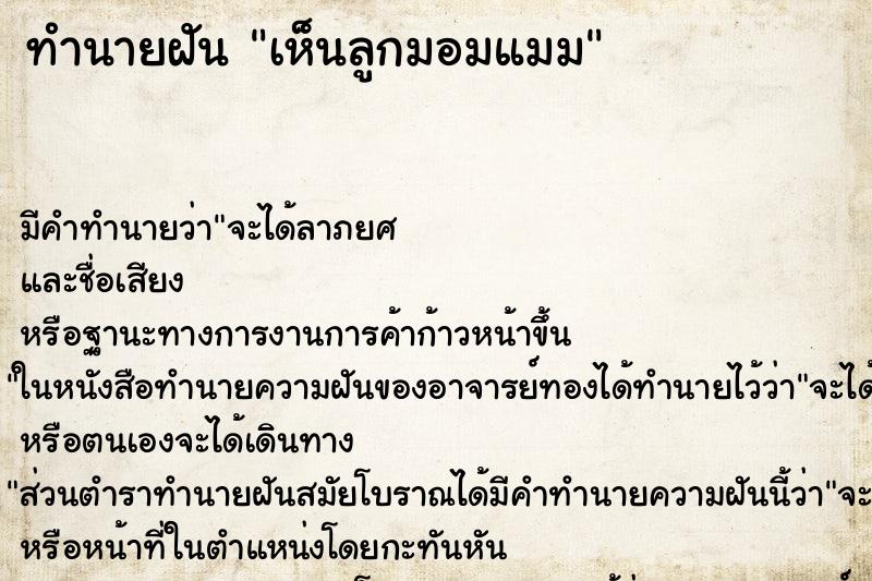ทำนายฝัน เห็นลูกมอมแมม ทำนายฝัน เห็นลูกมอมแมม
