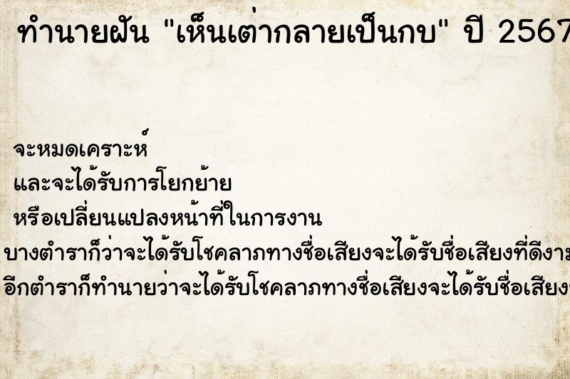 ทำนายฝัน เห็นเต่ากลายเป็นกบ ทำนายฝัน เห็นเต่ากลายเป็นกบ