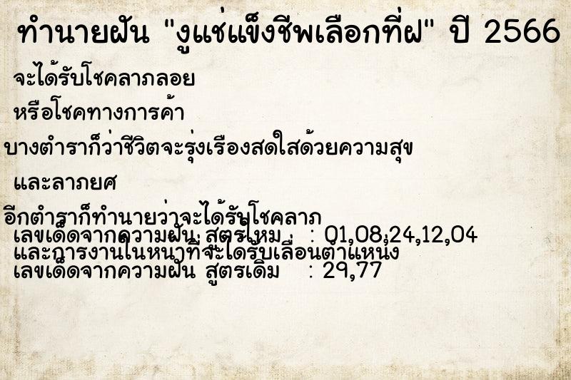 ทำนายฝันงูแช่แข็งชีพเลือกที่ฝ ทำนายฝันทำนายฝันงูแช่แข็งชีพเลือกที่ฝ