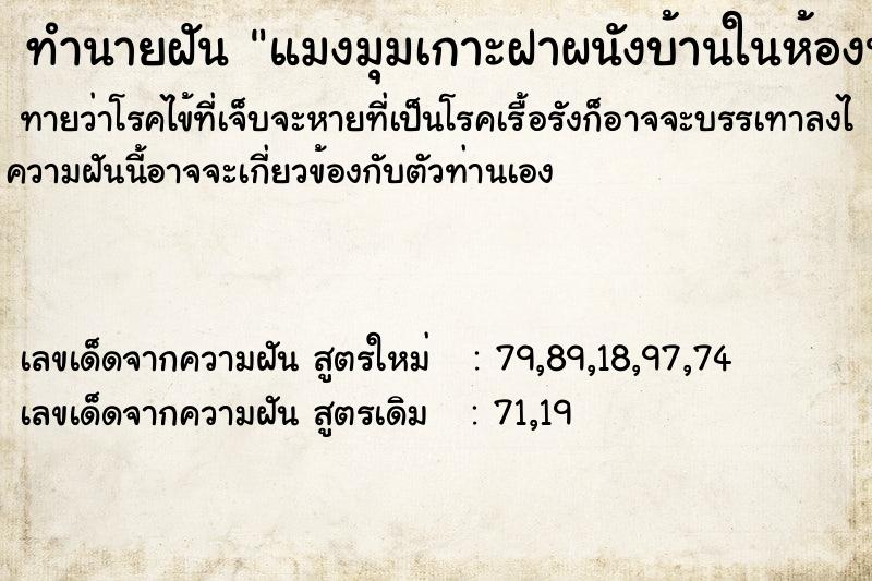 ทำนายฝันแมงมุมเกาะฝาผนังบ้านในห้องนอน ทำนายฝันทำนายฝันแมงมุมเกาะฝาผนังบ้านในห้องนอน