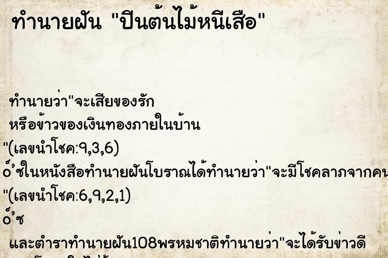 ทำนายฝัน ปีนต้นไม้หนีเสือ