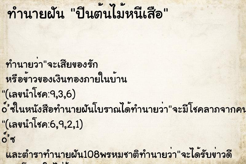 ทำนายฝัน ปีนต้นไม้หนีเสือ ตำราโบราณ แม่นที่สุดในโลก