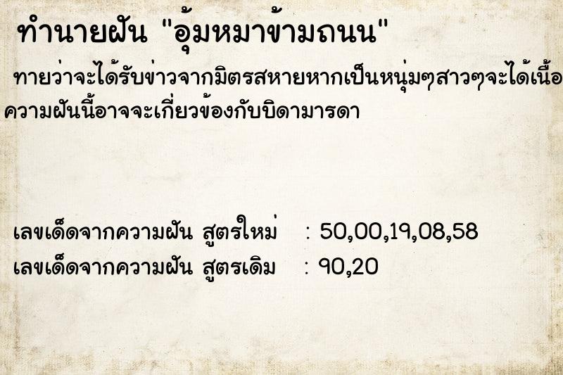 ทำนายฝันอุ้มหมาข้ามถนน ทำนายฝันทำนายฝันอุ้มหมาข้ามถนน