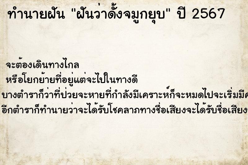 ทำนายฝันฝันว่าดั้งจมูกยุบ ทำนายฝันทำนายฝันฝันว่าดั้งจมูกยุบ