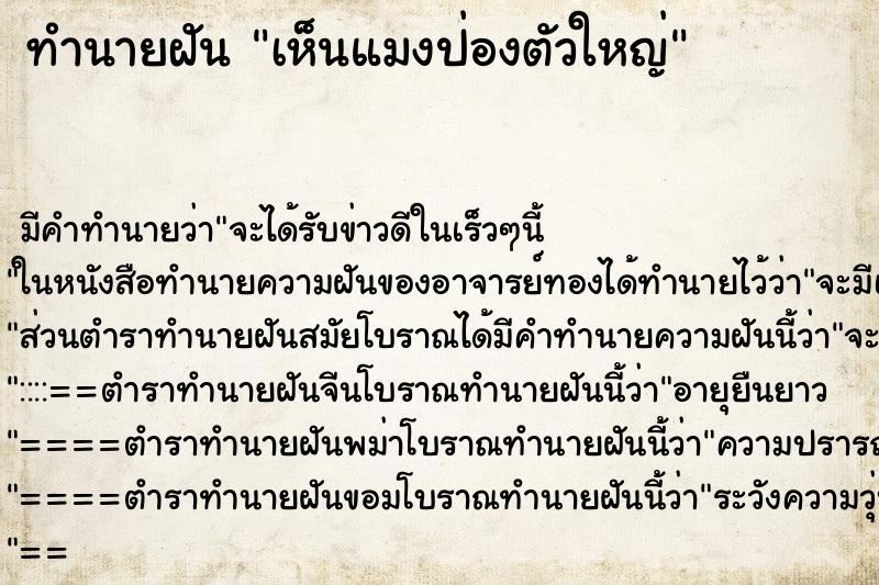 ทำนายฝัน เห็นแมงป่องตัวใหญ่ ทำนายฝัน เห็นแมงป่องตัวใหญ่