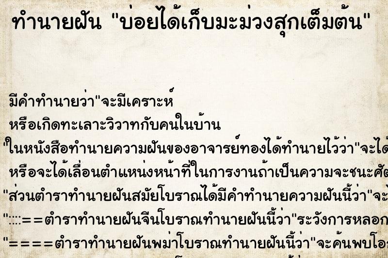 ทำนายฝันทำนายฝันบ่อยได้เก็บมะม่วงสุกเต็มต้น