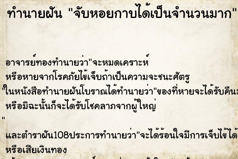 ทำนายฝัน จับหอยกาบได้เป็นจำนวนมาก ทำนายฝัน จับหอยกาบได้เป็นจำนวนมาก