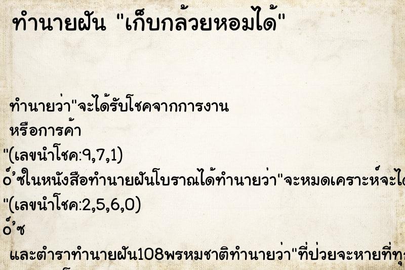 ทำนายฝันเก็บกล้วยหอมได้ ทำนายฝันทำนายฝันเก็บกล้วยหอมได้