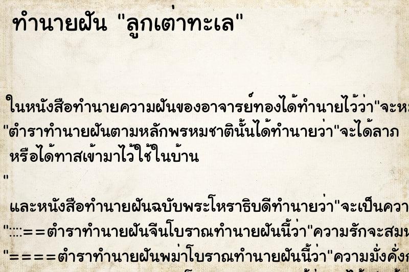 ทำนายฝัน ลูกเต่าทะเล