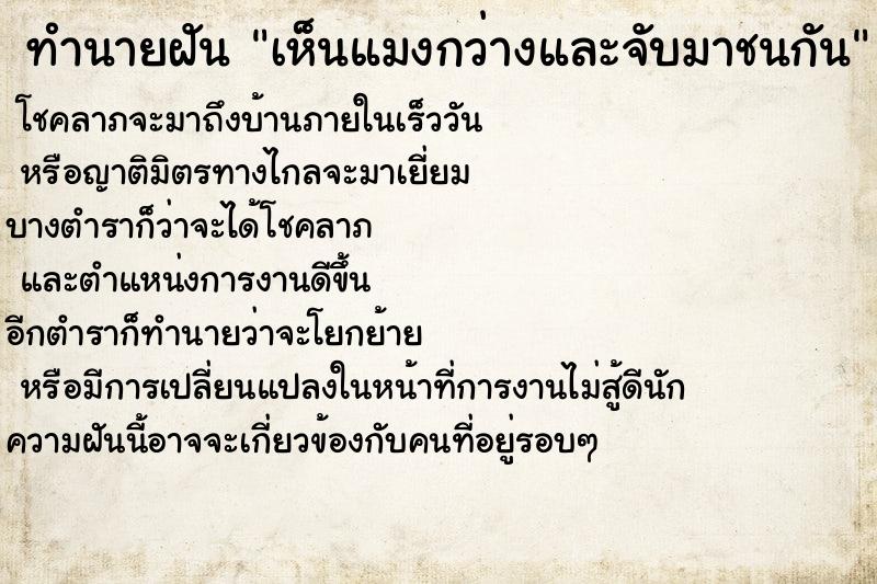 ทำนายฝันทำนายฝันเห็นแมงกว่างและจับมาชนกัน