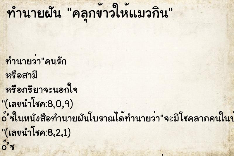 ทำนายฝัน คลุกข้าวให้แมวกิน