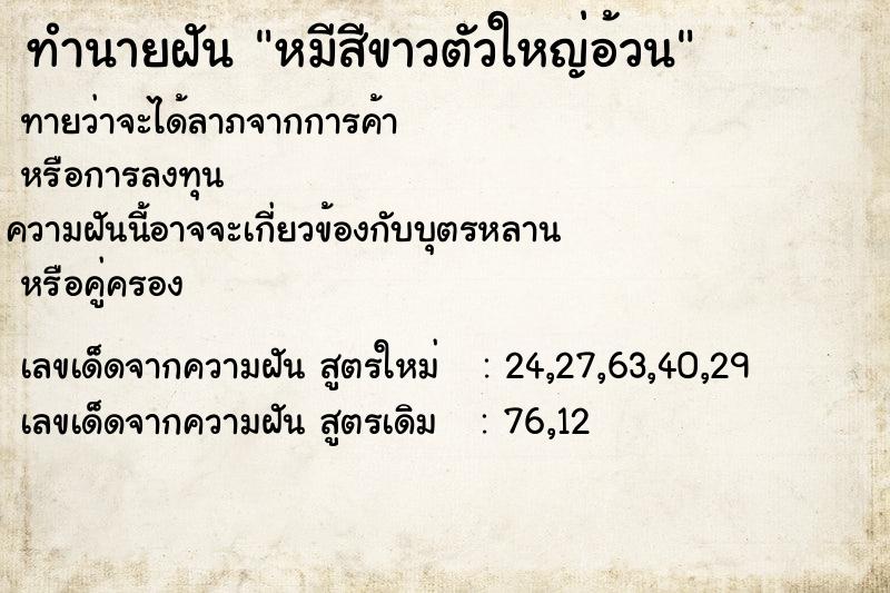 ทำนายฝัน หมีสีขาวตัวใหญ่อ้วน