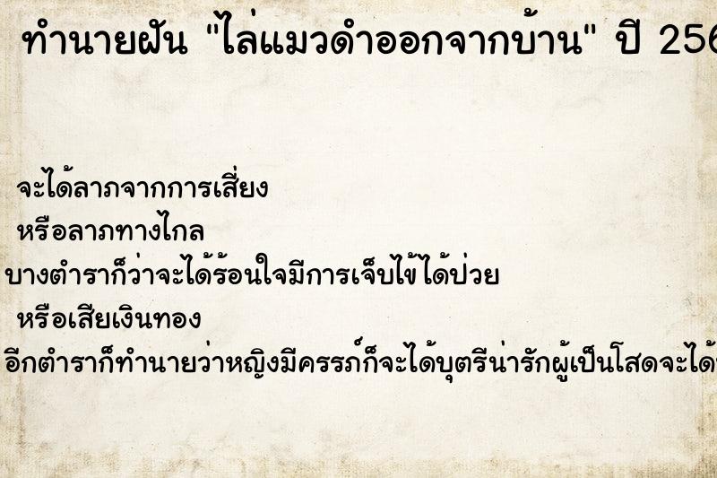 ทำนายฝัน ไล่แมวดำออกจากบ้าน ทำนายฝัน ไล่แมวดำออกจากบ้าน