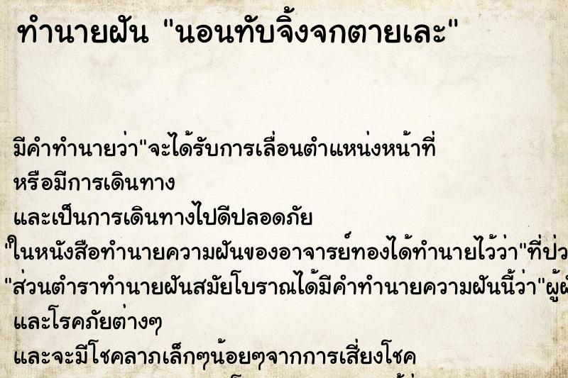 ทำนายฝันนอนทับจิ้งจกตายเละ ทำนายฝันทำนายฝันนอนทับจิ้งจกตายเละ