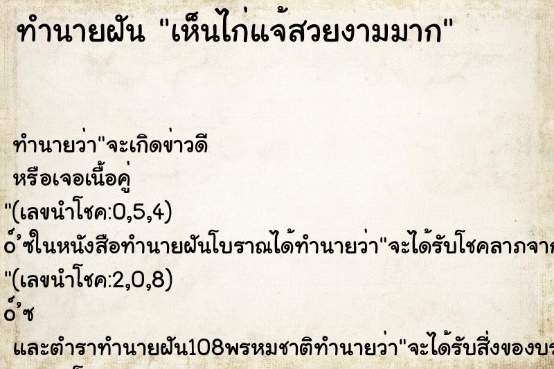 ทำนายฝัน เห็นไก่แจ้สวยงามมาก