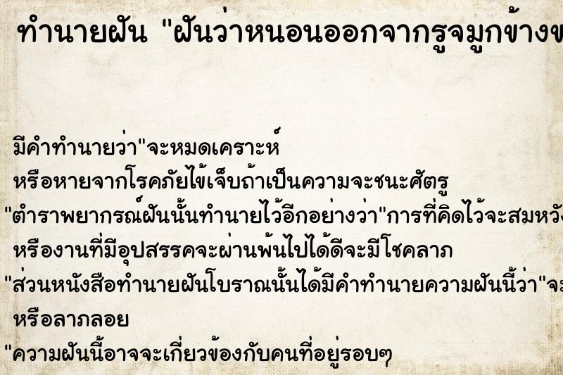 ทำนายฝันฝันว่าหนอนออกจากรูจมูกข้างขวาของตนเอง ทำนายฝันทำนายฝันฝันว่าหนอนออกจากรูจมูกข้างขวาของตนเอง