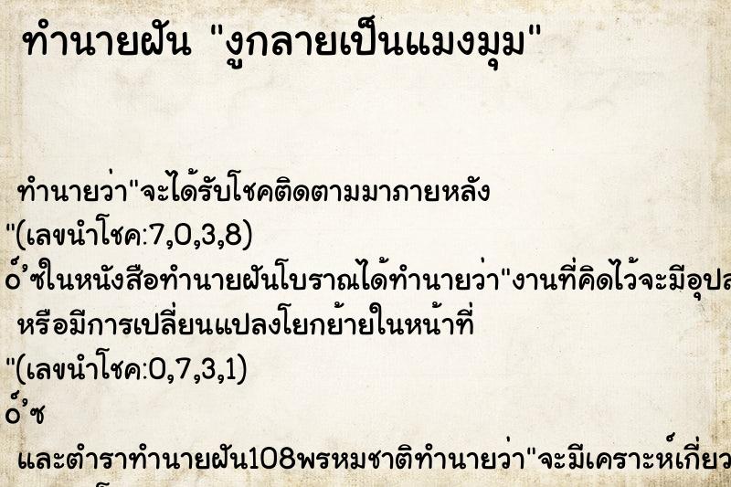 ทำนายฝันงูกลายเป็นแมงมุม ทำนายฝันทำนายฝันงูกลายเป็นแมงมุม