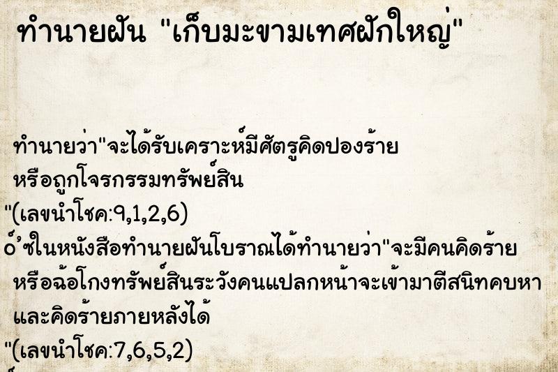 ทำนายฝันเก็บมะขามเทศฝักใหญ่ ทำนายฝันทำนายฝันเก็บมะขามเทศฝักใหญ่