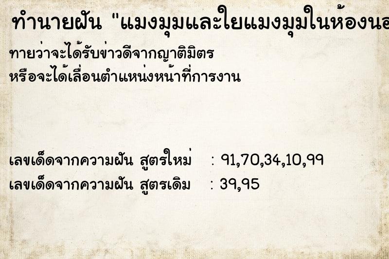 ทำนายฝัน แมงมุมและใยแมงมุมในห้องนอน ทำนายฝัน แมงมุมและใยแมงมุมในห้องนอน