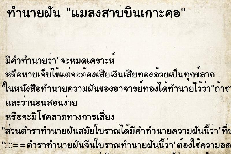 ทำนายฝัน แมลงสาบบินเกาะคอ ทำนายฝัน แมลงสาบบินเกาะคอ