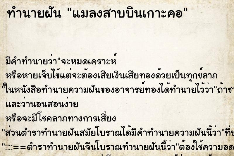 ทำนายฝัน แมลงสาบบินเกาะคอ ตำราโบราณ แม่นที่สุดในโลก