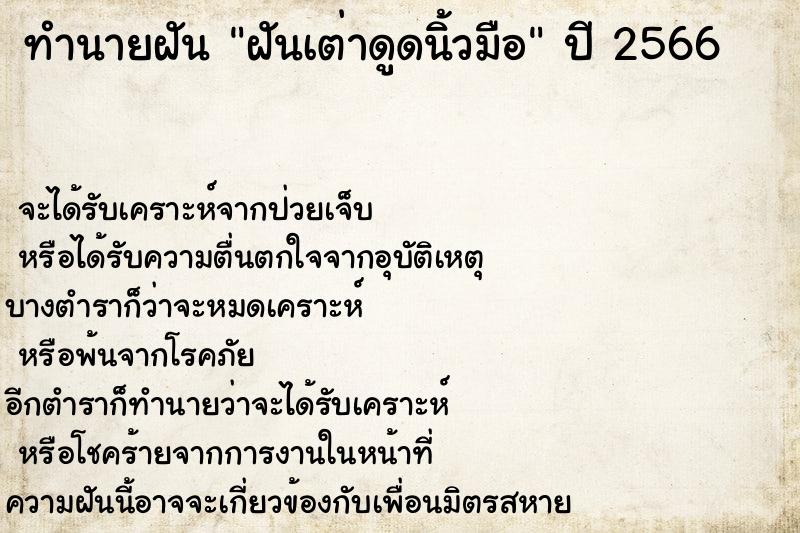ทำนายฝันฝันเต่าดูดนิ้วมือ ทำนายฝันทำนายฝันฝันเต่าดูดนิ้วมือ