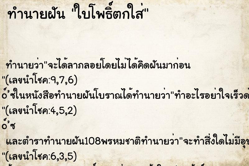 ทำนายฝันใบโพธิ์ตกใส่ ทำนายฝันทำนายฝันใบโพธิ์ตกใส่