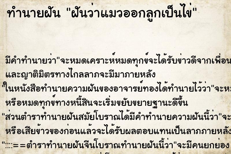 ทำนายฝัน ฝันว่าแมวออกลูกเป็นไข่ ทำนายฝัน ฝันว่าแมวออกลูกเป็นไข่