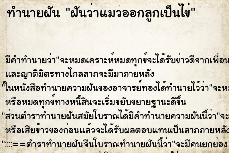 ทำนายฝัน ฝันว่าแมวออกลูกเป็นไข่ ตำราโบราณ แม่นที่สุดในโลก