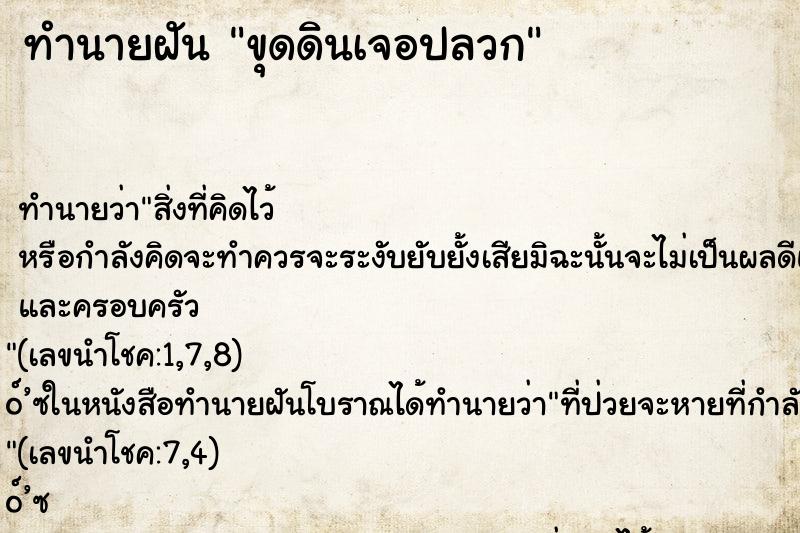 ทำนายฝัน ขุดดินเจอปลวก