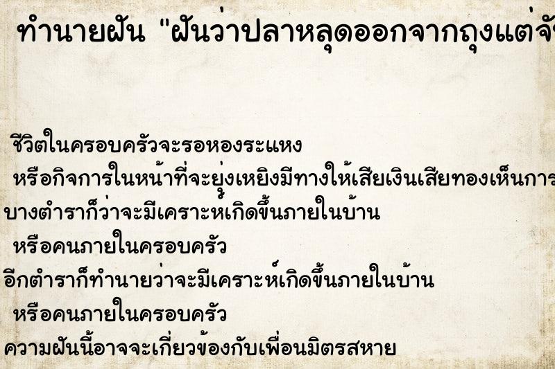 ทำนายฝัน ฝันว่าปลาหลุดออกจากถุงแต่จับไม่ได้ ทำนายฝัน ฝันว่าปลาหลุดออกจากถุงแต่จับไม่ได้