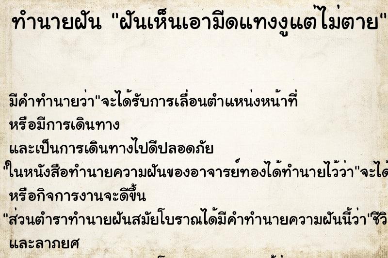 ทำนายฝัน ฝันเห็นเอามีดแทงงูแต่ไม่ตาย ทำนายฝัน ฝันเห็นเอามีดแทงงูแต่ไม่ตาย